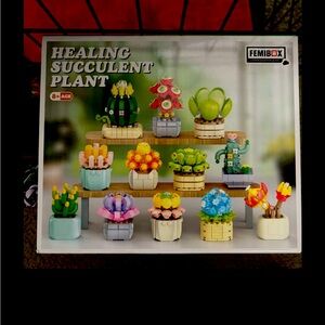 NWT Succulent plants kit